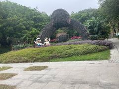 -王借岗森林公园