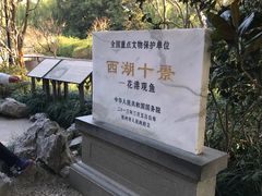 -西湖游船