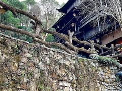 -土家风情园