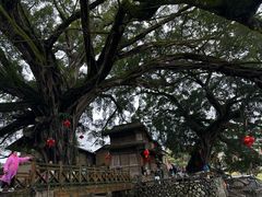 -云水谣景区