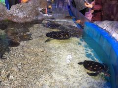 -横店影视城梦幻谷园区