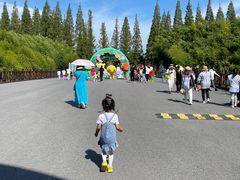 -黄海国家森林公园