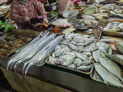 -鸿港海鲜批发市场