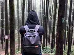 -山王坪喀斯特国家生态公园