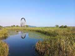 -太湖湖滨国家湿地公园-停车场