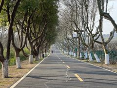 -宜兴龙背山森林公园
