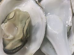 肉质鲜嫩生蚝-雅逸居海鲜小厨