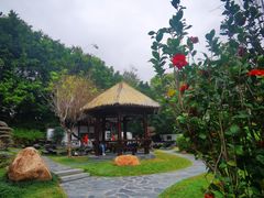 -深圳国际园林花卉博览园