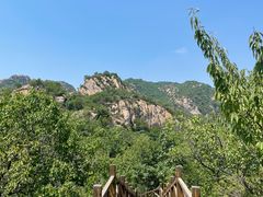 -大岭沟猕猴桃谷风景区