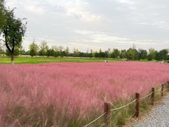 -汉长安城未央宫国家考古遗址公园