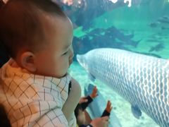 -华夏文旅海洋公园