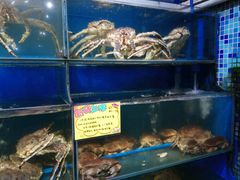 -蚝专家(北滘店)