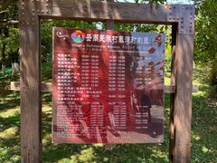 -云南民族村