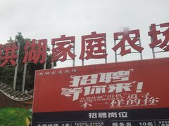 -洪湖家庭农场·团建·露营·会议
