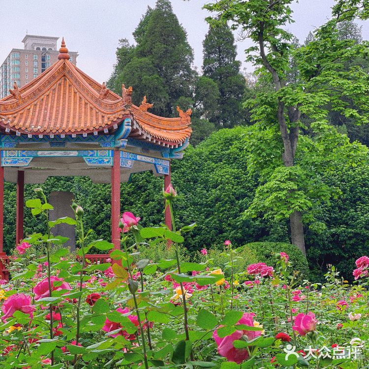 碧沙岗真的是老郑州人的回忆了 小时候最常来的公园就是