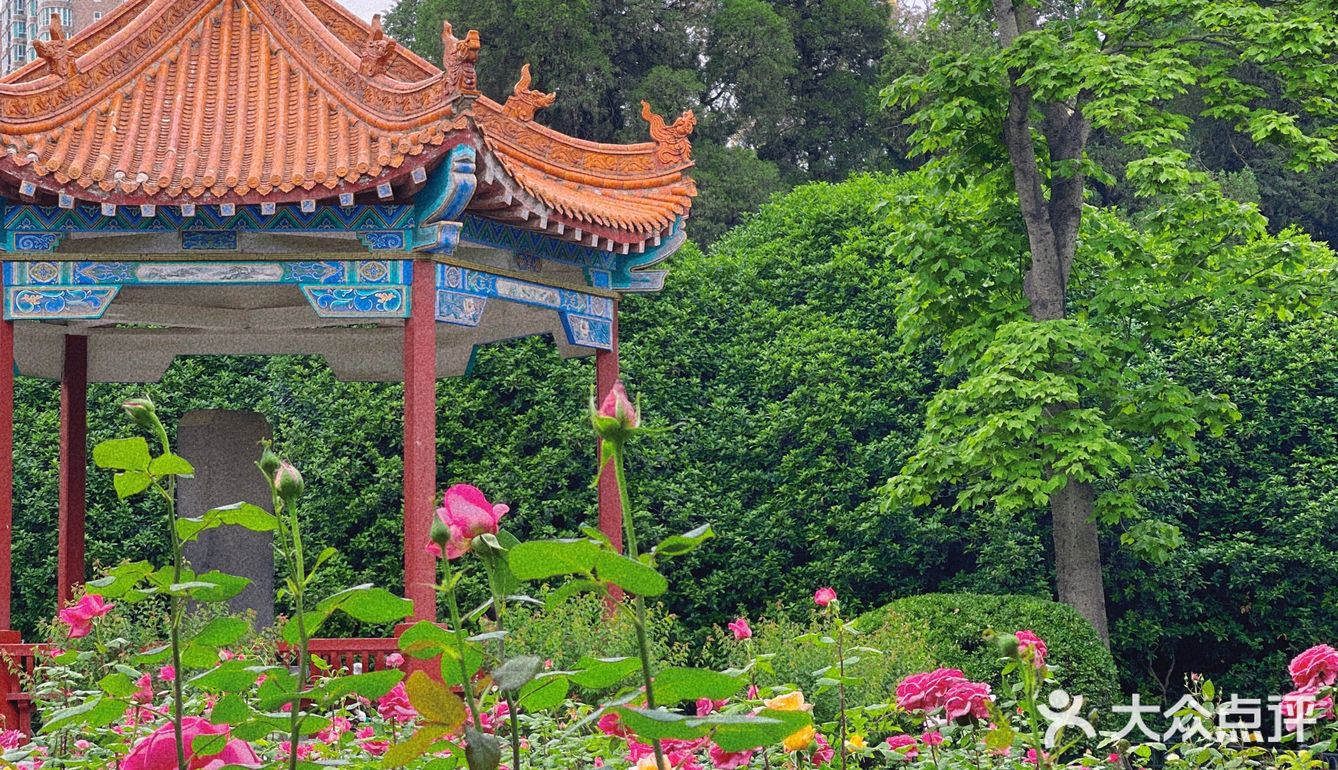 碧沙岗真的是老郑州人的回忆了 小时候最常来的公园就是