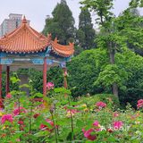 碧沙岗真的是老郑州人的回忆了 小时候最常来的公园就是