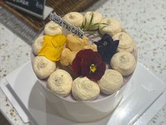 -小淘圆儿·四季口味蛋糕