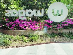 -Wagas沃歌斯(大学路店)