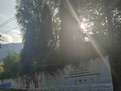 -沂蒙山旅游区云蒙景区(蒙山国家森林公园)