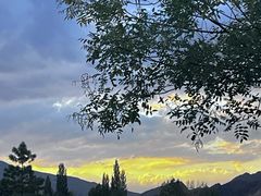 -清真·伊清阁餐厅