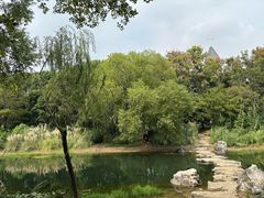 -贡湖湾湿地公园