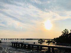 -宝安西湾红树林湿地公园