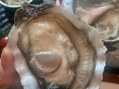 -普朗姆生蚝吧(原建国路店)