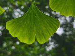 -东山风景区(洞庭东山)