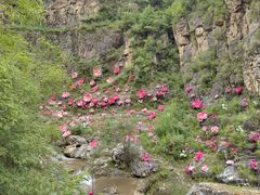 -大平台龙居瀑布旅游区