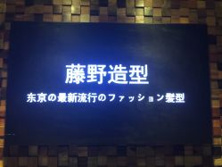 点击看大图 -藤野造型