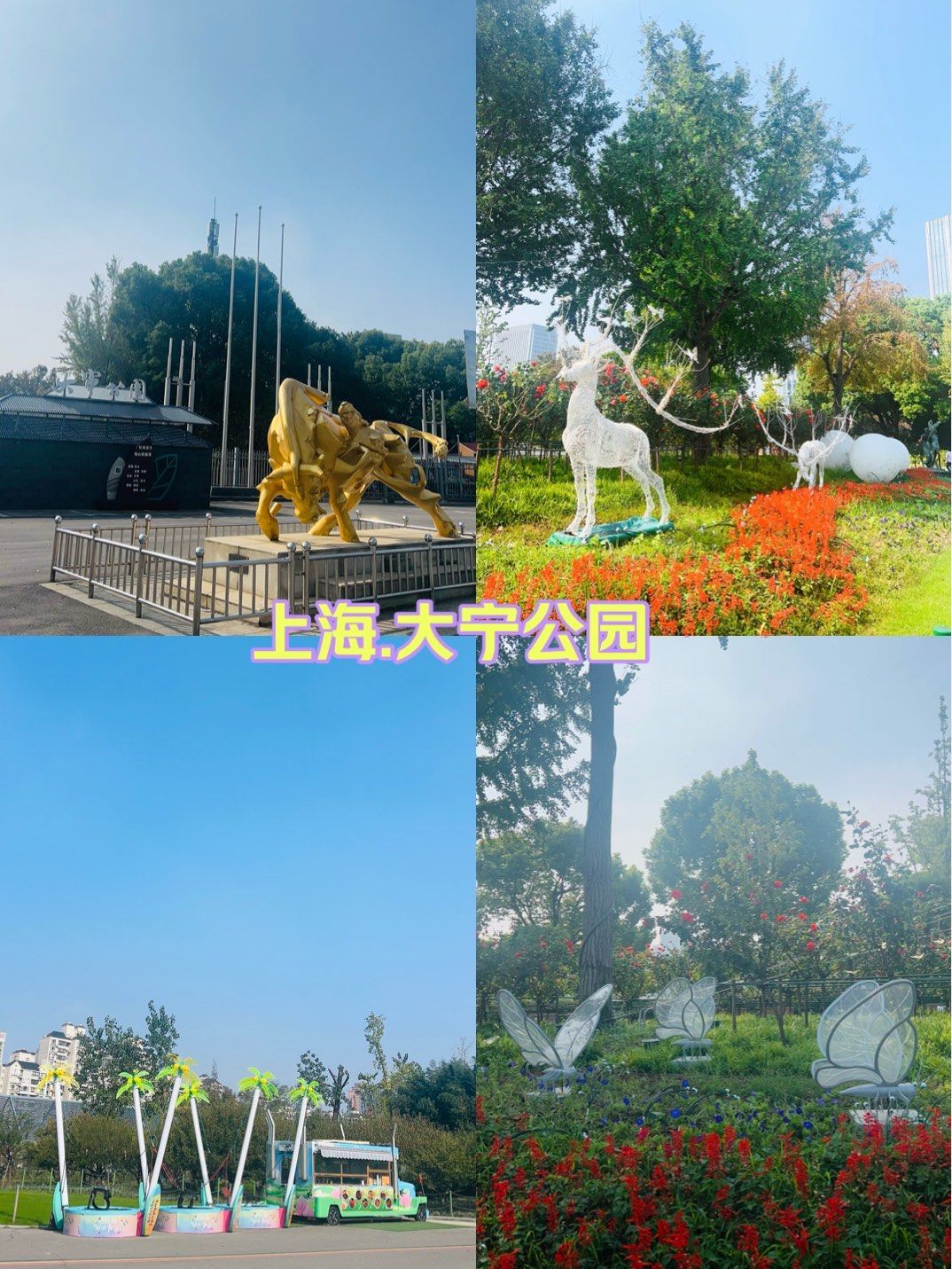 大宁公园,城市绿洲,自然与休闲交织的画卷