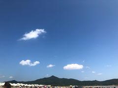 -古茗(东鼓道店)