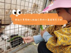 -河北村民俗体验园