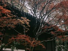 -拙政园