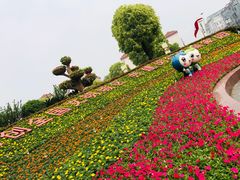 -七宝老街-闵行市民文化广场