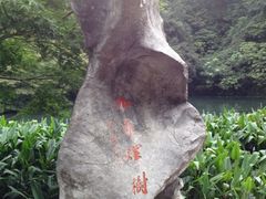 iphone_upload_pic-九溪烟树