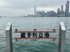 -星光大道