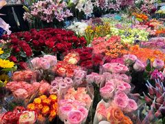 -朝来春花卉市场