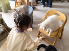 -平行世界·猫咖(首经贸店)