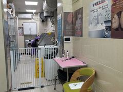 -北京观赏动物医院·24小时大型综合·猫专科·异宠专科