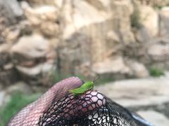 -碓臼峪自然风景区