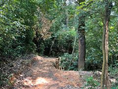 景点-岳麓山风景名胜区