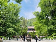 -潭柘寺景区