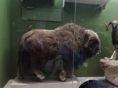 -国家自然博物馆