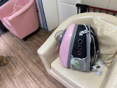 -中农大我爱我爱24h动物医院·中医针灸·猫专科·骨科医疗中心(双井店)