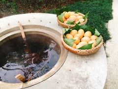 -苏州湾王焰温泉度假酒店