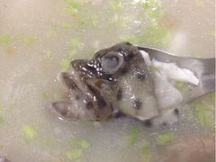 老鼠斑熬粥-郑厨私房菜