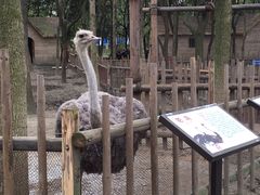 -昆山城市生态森林公园