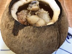 原个椰子炖走地鸡-達揚原味燉品(文明路店)